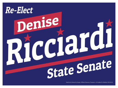 Denise Ricciardi for NH Senate